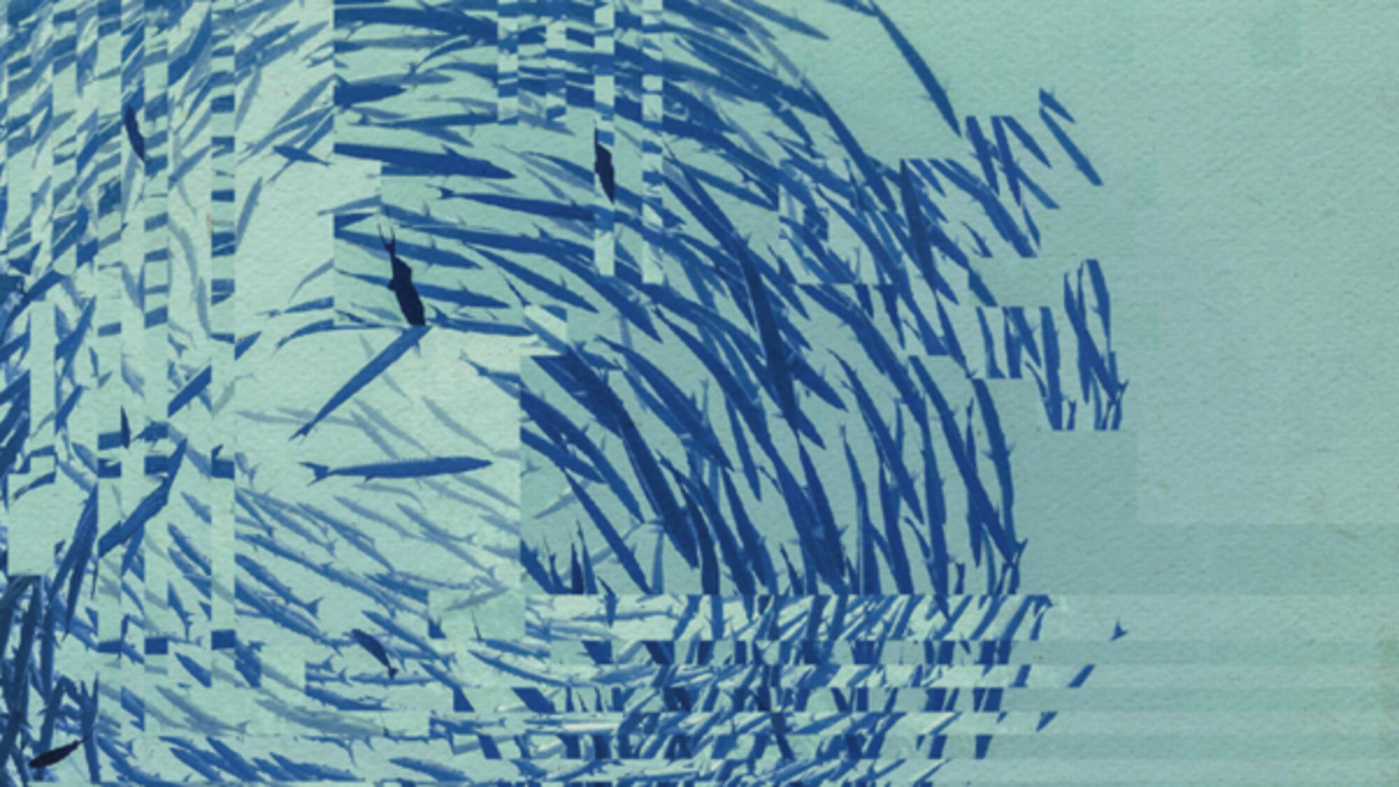 Distorted Fish School scal